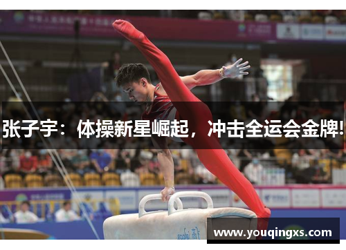 张子宇：体操新星崛起，冲击全运会金牌!